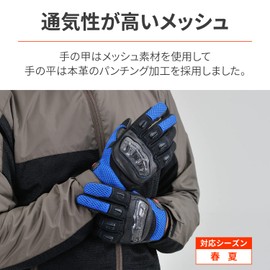 Daytona Motorcycle Gloves, Summer Mesh, Genuine Leather (Goat Leather), Carbon Protector, Smartphone Compatible, Carbon Mesh Gloves, HBG-116, Blue, Size S, 25964