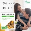 【リプサ公式】 春ウコンカプセル 約3か月分×2袋 C-519-2 ミネラル 国内製造