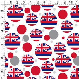 GRAPHICS & MORE Hawaii State Flag Premium Gift Wrap Wrapping Paper Roll