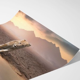 Hustling Sharks® Animal Pictures on Poster as XXL Wall Picture Lion Reflection Poster in Portrait Format, Animal Poster, Bedroom Poster, Children's Room, Lion Picture, Lion Pictures (20 x 30 cm)