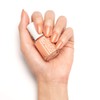 essie Nail Polish Rocky Rose Collection No. 642 Set in