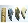 ALL AMERICAN Awesome Balsa Wood Crankbaits 12ct BALSA WOOD Flat