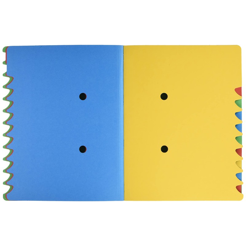 Leitz 39120055 Ordnungsmappe, 12 Fächer, Colorspankarton, grün