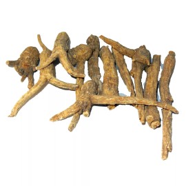 XXM nutrition Wisconsin ginseng root 5 years old strong improve energy immunity - 8 OZ