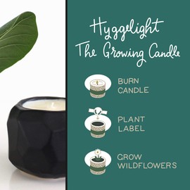The Growing Candle, from Flame to Flower, Lavender Scented, Non-Toxic, 100% Soy Wax, Indoor Wildflower Garden, Aromatherapy Gift for Women, 11oz, 55 Hr Burn Time, Emma