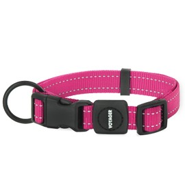 Best Pet Supplies Voyager Reflective Dog Leash or Collar with Neoprene Handle, for Small, Medium, and Large Breed Puppies, Cute and Heavy Duty for Walking, Running and Training - Fuchsia, S
