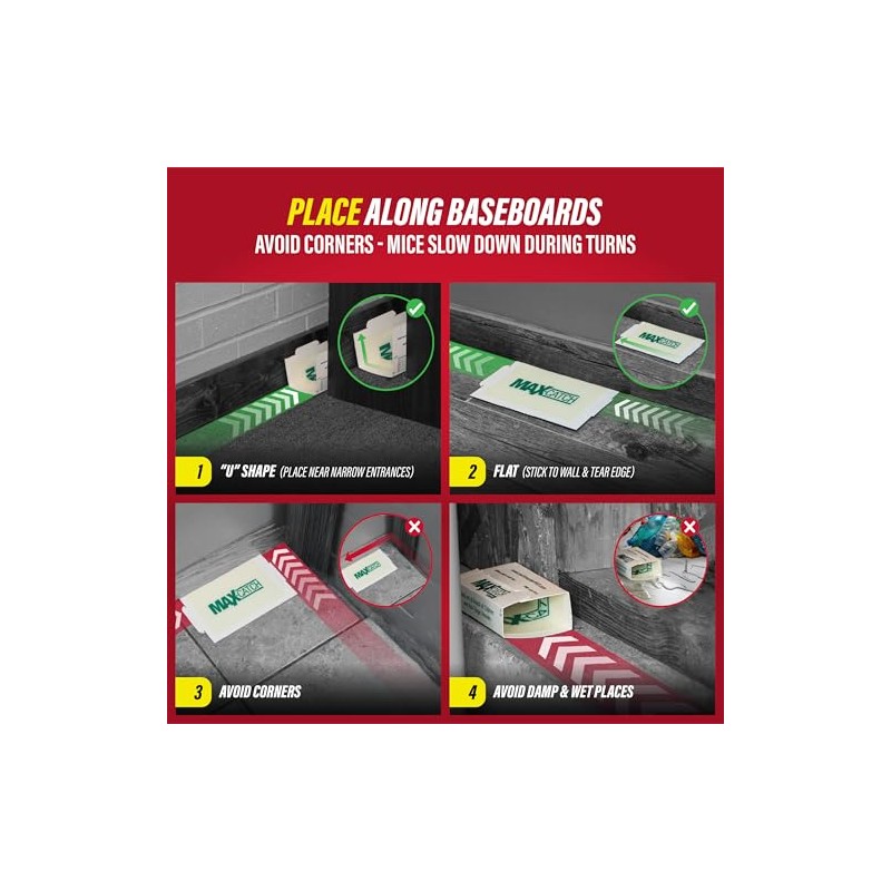 Catchmaster Max-Catch Mouse & Insect Glue Trap - 36 Pack