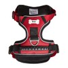 Bunty Adjustable Dog Harness, Adventure - Anti Pull Dog Harness