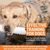 SportDOG White Plastic Dummies - Durable Soft Plastic Retriever &