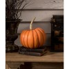 Bethany Lowe Peek-A-Boo Orange Pumpkin with Skeleton Hands Lantern, Paper