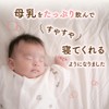 Blended Herbal Tea, Breast Milk Up, Organic JAS Certified Organic