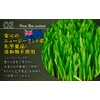NICHIGA 01 Ichiban Mowing Barley Grass Powder (Made in New