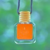 CANVAS Beauty Car Diffuser (Pick Your Scent):_Drunken Peach