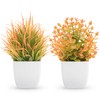 Der Rose 2 Pack Small Fall Fake Plants Mini Artificial