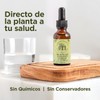 ORE Organic Oregano Oil Supplement, 100% Natural, 80% Carvacrol, Lippia