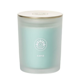 Sullvans Vance Kitira Scented Candle, Single Wick Jar Candles| 80 Hour Burn Time, 15.87 Oz Cactus & Lemon Scent | Capiz Sea Foam Green, Long-Lasting Aromatic Glass Candle for Home Décor & Gifts