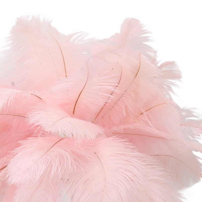 Ostrich Feather Table Lamp Rechargeable Modern Romantic Decoration Lamp Bedroom