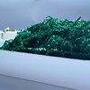 2 LB Dark Green Crinkle Paper Filler Shred Easter Grass
