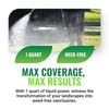 Albaugh Sublime Weed Killer, Unrivaled Defense Against Crabgrass, Creeping Charlie,