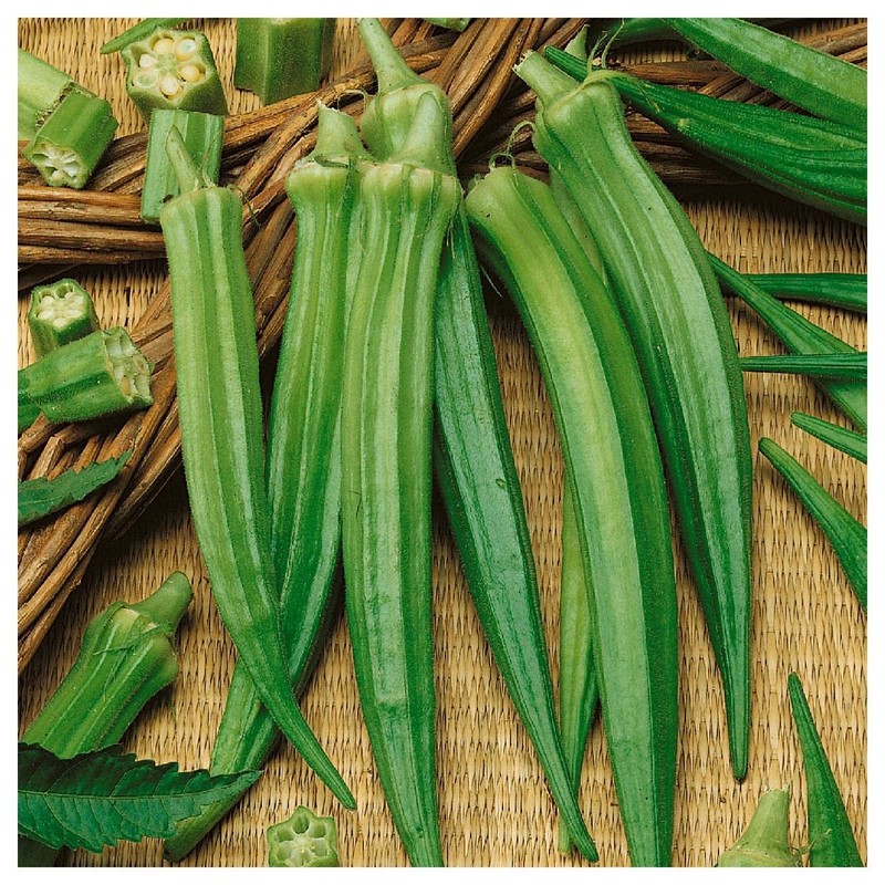 Everwilde Farms - 50 Organic Perkins Long Pod Okra Seeds