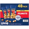 Planters Salted Peanuts (48 1-ounce packs)