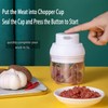 Electric Mini Food Chopper,250ML Portable Garlic Chopper with USB Charging