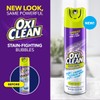 OxiClean Foam-Tastic Fresh Scent Bathroom Cleaner Twin Pack 2-19 oz.