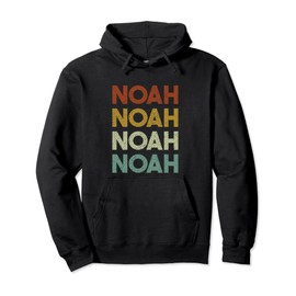 Retro Noah Vintage Distressed Style Pullover Hoodie