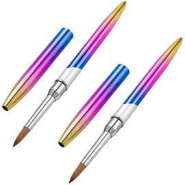 VICASKY 2pcs Nail Art Brush Smooth Nail Gel Painting Pens and Lightweight Manicure Tools for Professional and Home Use