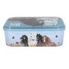 Depesche Miss Melody Dusty Rose 13398 Lunch Box in Light