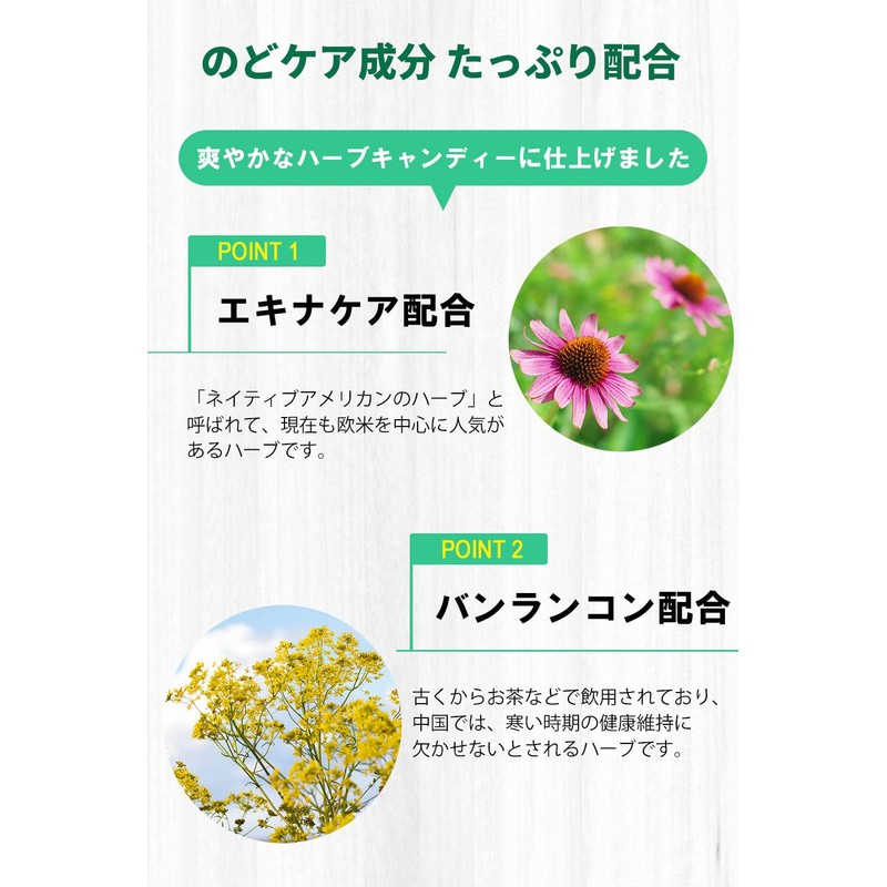 くにさと35号のど飴 のど飴 ノンシュガー エキナケア [ 甘味料 砂糖 不使用 ] バンランコン