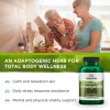 Swanson Ashwagandha Powder Supplement - Ashwagandha Root & Aerial Parts