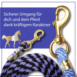 Lead Rope for Horses, Tie Rope in Various Stylish Designs, Lead Rope, Pony, Donkey, Goat (1 x Black/Purple)