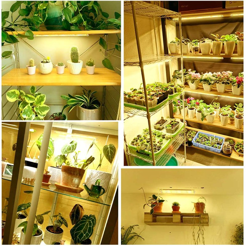 LED Plant Lamp Indoor Full Spectrum Grow Light with Timer