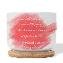 DecStic I Do Not Whisper Obscurities in Some Dark Corner Planters Ceramic Quote Saying Round Flower Pots with Drainage Holes and Bamboo Tray Pot for Home Office Desk Garden