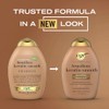 Champú Organix