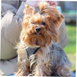 FOMIYES 500pcs Pet Rubber Band Mini Elastic Hair Ties Small Elastic Hair Ties Dog Hair Ties Stationery Braid