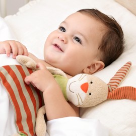 SIGIKID 48921 Cuddly Blanket Rabbit Green Girls and Boys Baby Toy Recommended from Birth Multi-Coloured