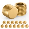 Aifeier ET 15 PCS 1/4” NPT Brass Pipe Plug Fitting
