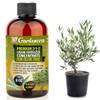 Premium Liquid Olive Tree Plant Fertilizer - 3-1-2 Concentrate for