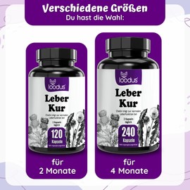 Leber Kur Kapseln - 13fach Leber-Komplex mit Bitterstoffen Mariendistel Artischocke Löwenzahn & Cholin für die normale Leberfunktion - 4 Monatsvorrat - Leber Kapseln hochdosiert von loodus®