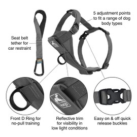 Kurgo Tru-Fit Smart Harness, Dog Harness, Pet Walking Harness, Quick Release Buckles, Front D-Ring for No Pull Training, Includes Dog Seat Belt Tether (Grey, X-Small)