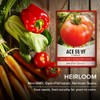 Gardeners Basics Ace 55 VF Tomato Seeds for Planting Heirloom