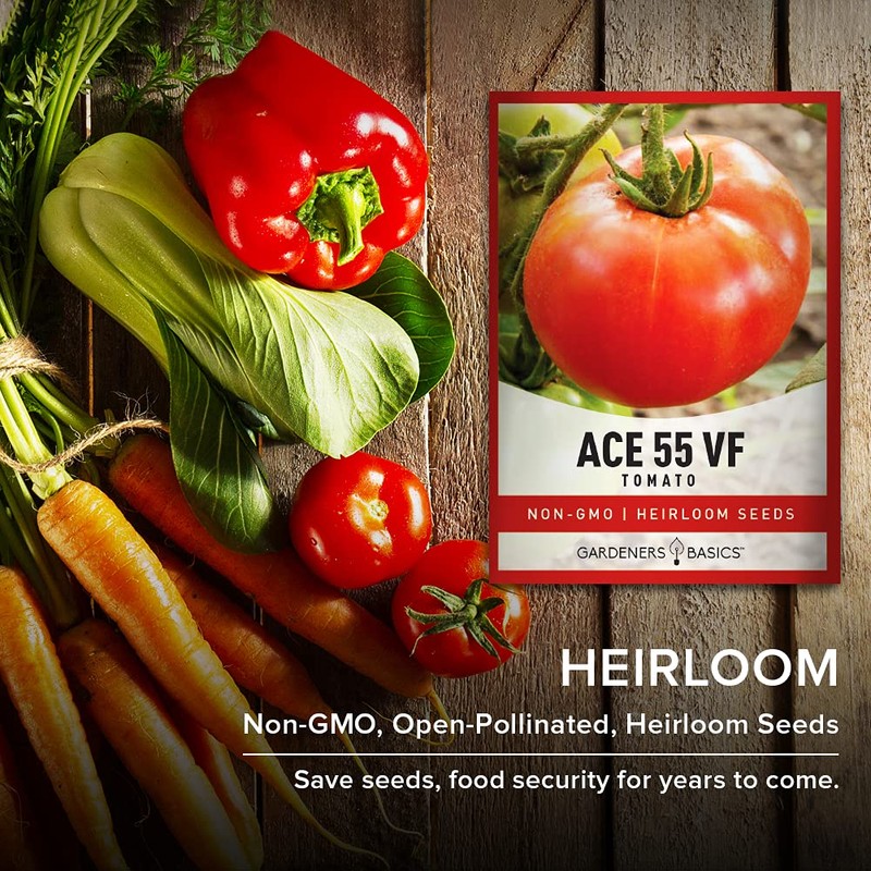 Gardeners Basics Ace 55 VF Tomato Seeds for Planting Heirloom