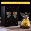 Aastin Preserved Real Rose in Glass Angel Figurine with LED