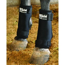 Cashel Stall Sore Boot, Large