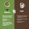 Zen Tea Té Verde Matcha Natural y Orgánico Sin Azúcar