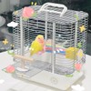 Bird Toys Stand Perch Set: Interactive Wheel & Standing for