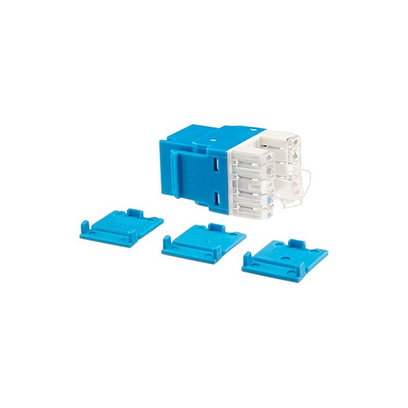 C2G 03796 Cat5e RJ45 Unshielded Keystone Jack, Blue