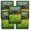 Hairy Vetch Seeds for Planting - 5 Packets with Instructions